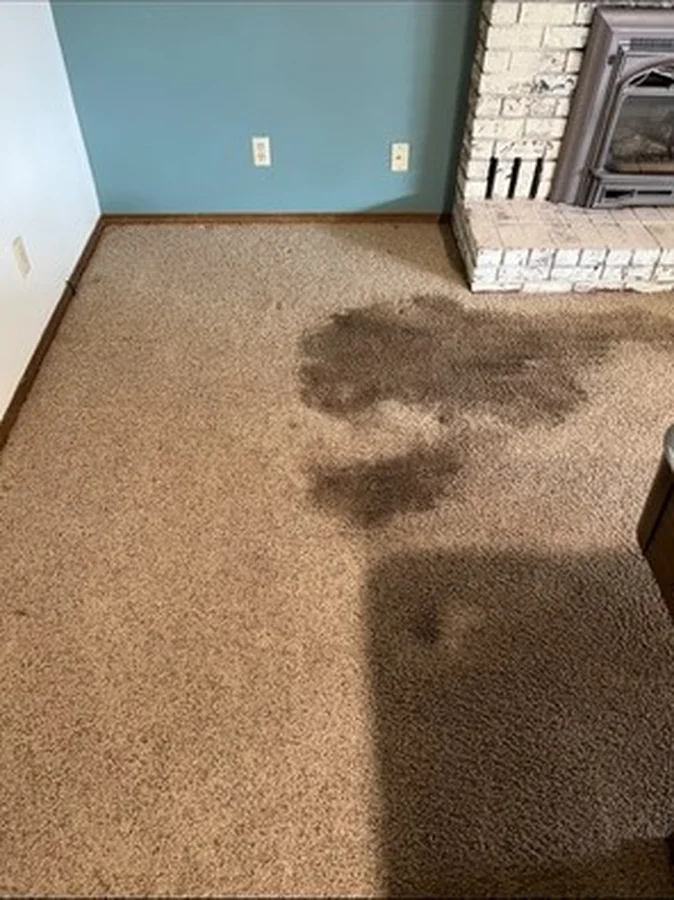 Cleaning Service