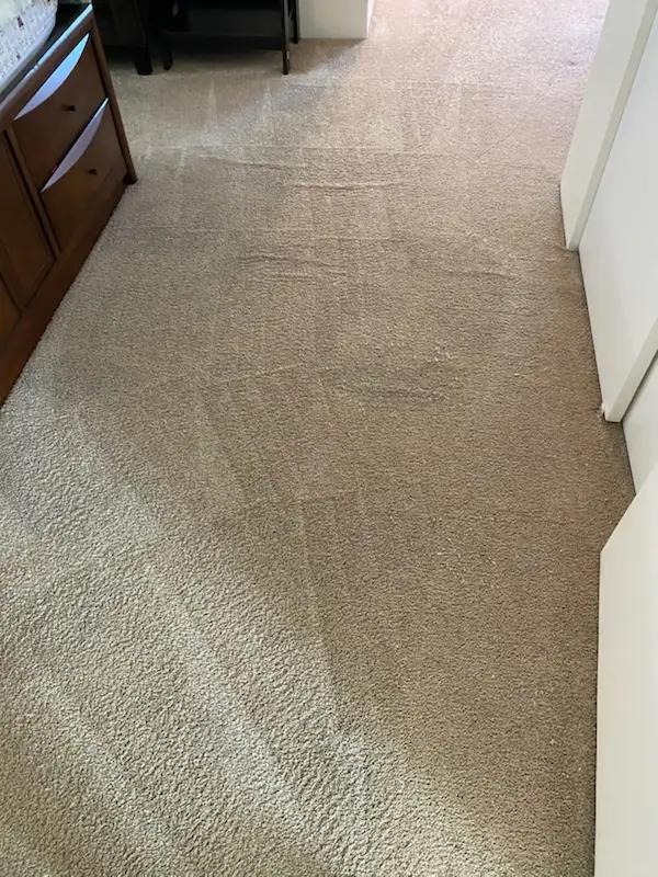 Cleaning Service