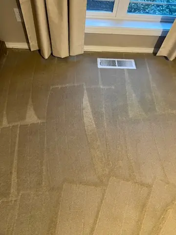 Cleaning Service