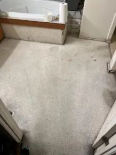 Cleaning Service