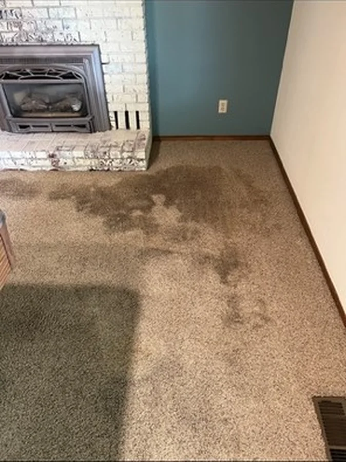 Cleaning Service