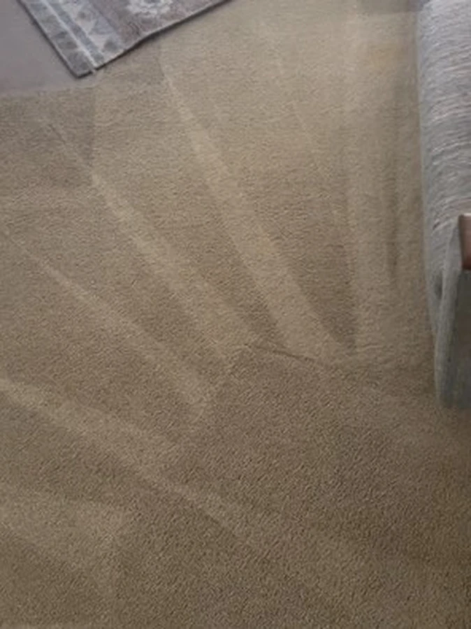 Cleaning Service