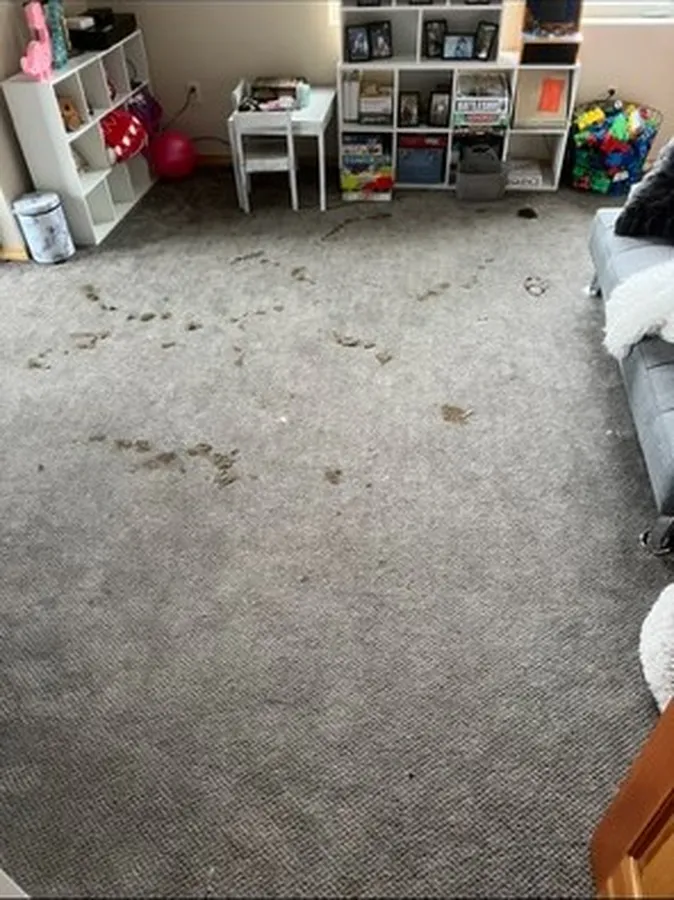 Cleaning Service