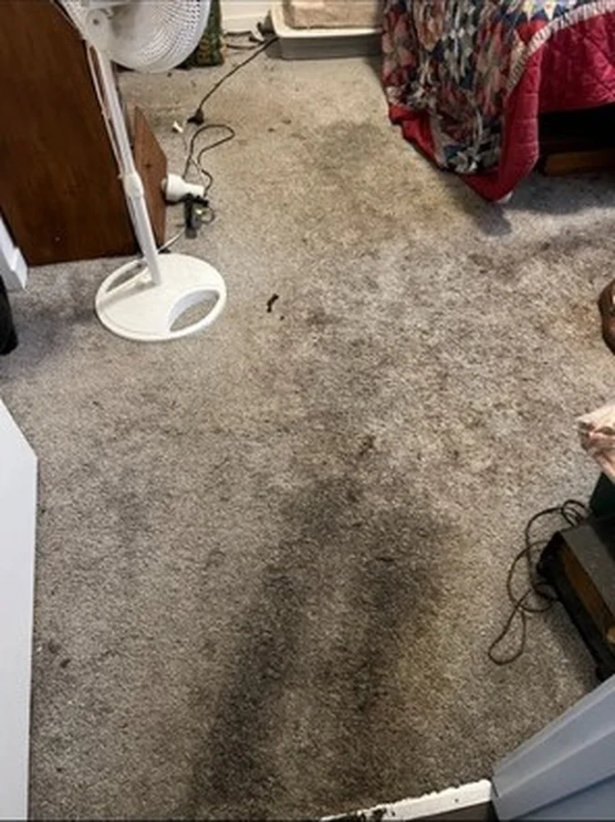Cleaning Service