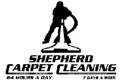 Carpet Cleaning Company