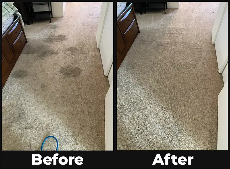 Professional Carpet Cleaning Company